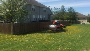 Spraying Dandelions - Easy with the right equipment